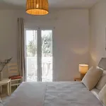 Asteras Paradise 4* Kostos