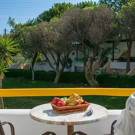 Asteras Paradise Hotel 4*